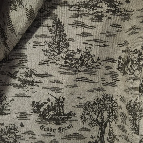 Teddy Fresh Gray Graphic Hoodie - Picture 2 of 4